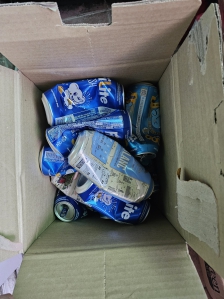 한국산림복지진흥원(치유원, 숲체원)