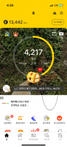 2023보 걷기 챌린지