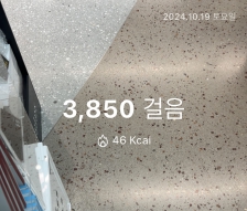 2023보 이상 걷기 챌린지