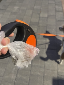 산책시 배변봉투 챙기기
