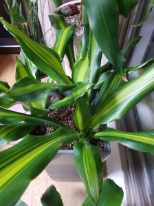 친환경 공기 청정기