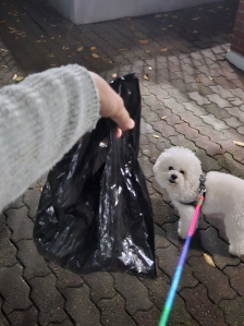 필수일과 응가주워가기