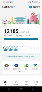 2023보 걷기 인증