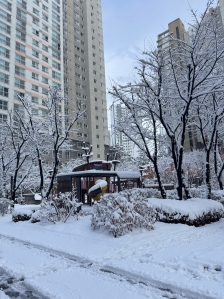 시작은 조금이더라고 꾸준히 걷기