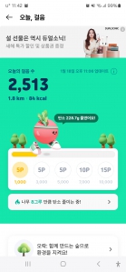 걸음 2025보 이상 인증