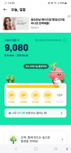 걸음 2025보 이상 인증