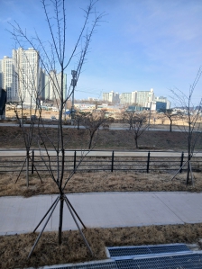 건강을 위한 걷기 