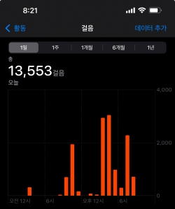 1월26일걷기