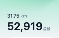 설 장 보러다니느라 5만걸음...