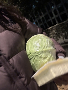 걸어서 나라지키기