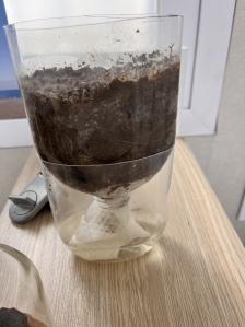 바디워시 공병이 화분으로!