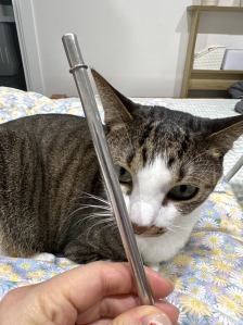 스텐빨대 구입했어요!