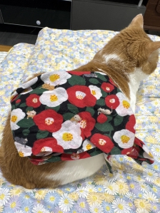 손수건 사용해요