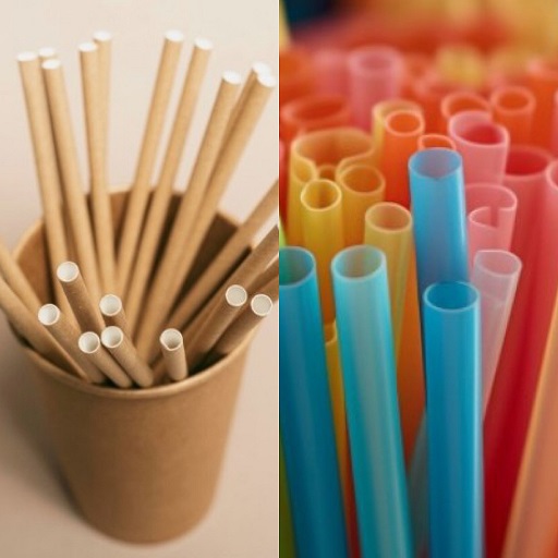 종이빨대VS플라스틱빨대