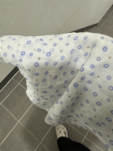 3월 4일 손수건챌린지