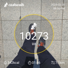 3월 20일 1만보걷기 