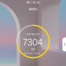 7304 걸음