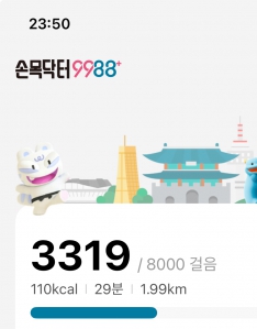 주말 걷기 기록