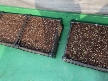 농작물 직접 재배