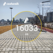 3월 26일 1만보걷기