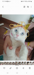 선물에 있던 리본 재활용 