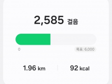 2023걸음걷기 도전