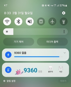 오늘도 걷기