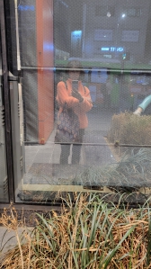 언제나 장바구니와 함께