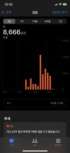 4/3 2023보 걷기 성공