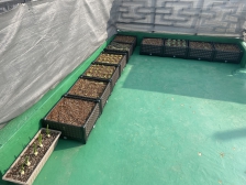 농작물 직접재배