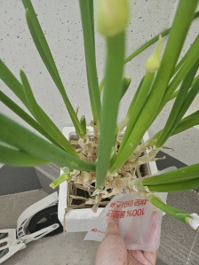 얼음팩 재활용!