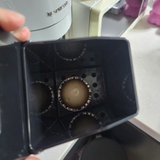 네스프레소 커피캡슐 4월분