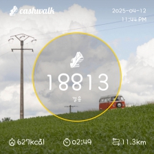 오늘도 만보성공