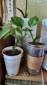 재활용 아니고 새활용입니다