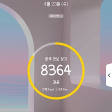8364 걸음