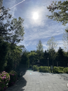 열심히 걸어보자!