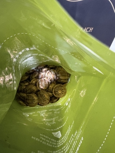 캡슐재활용하기!