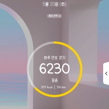 6230 걸음