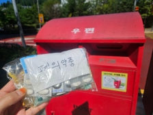 폐의약품 우체통에!!