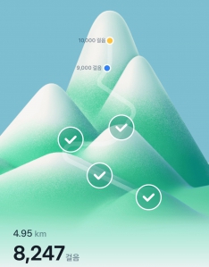 걷기 인증 