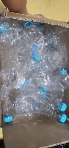 공페트병 벅스에 넣기