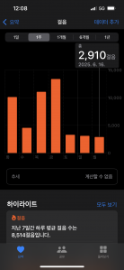 2023보 이상 걷기