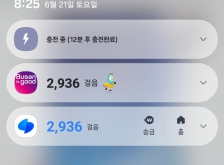 250621 걷기 챌린지