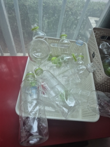 라벨제거하고 말리는중