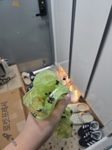 펫티켓 똥츄로 아가들 똥치우기!!