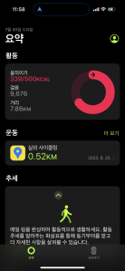 만걸음 걷기 도전