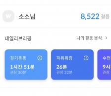 오늘도 만보를 향해걷기