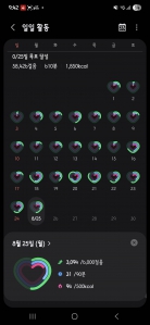 8/25 3000보걷기 성공