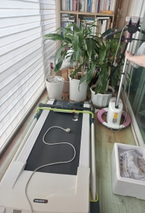 러닝머신과 다리미