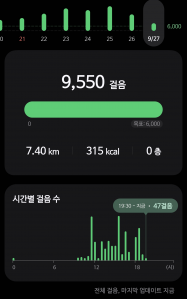 오늘도 어김없이 걷기 챌린지!